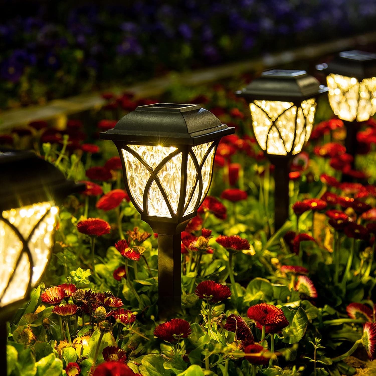 6pk LED Solar Path Lights $25