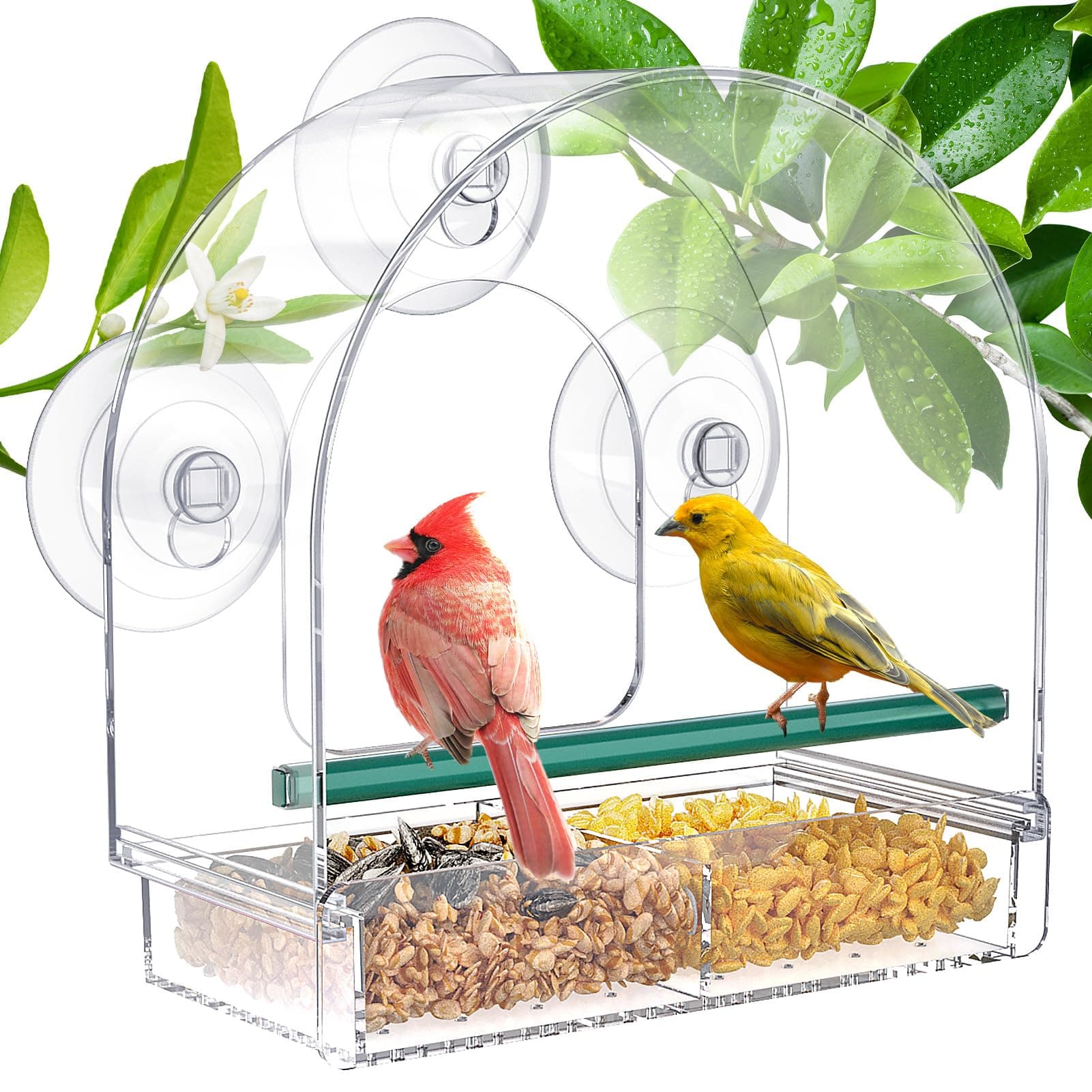 SUNALLY Clear Window Bird Feeder w/ Suction Cups